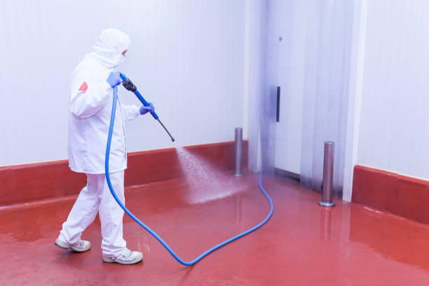 Jean Lafitte, LA Pressure Washing Company