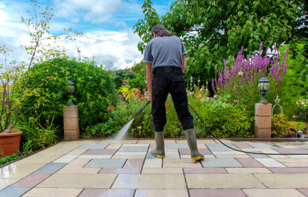 Best Driveway Pressure Washing  in Jean Fitte, LA